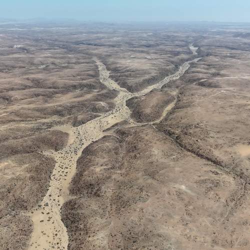 Photo #13337350