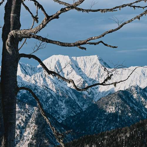 Photo #13337386