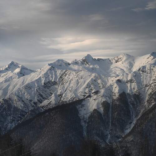 Photo #13337417