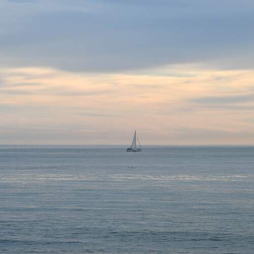Photo #13337435
