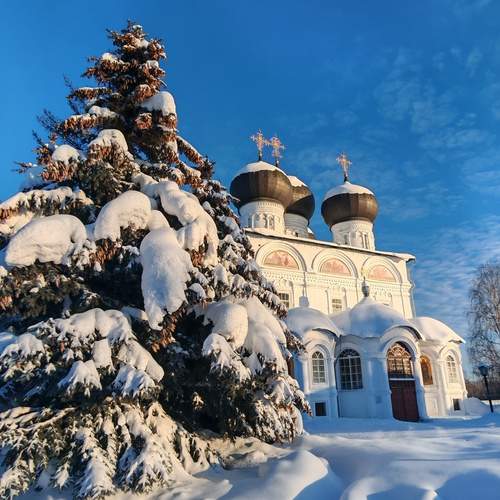 Photo #13337462