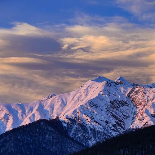 Photo #13337469