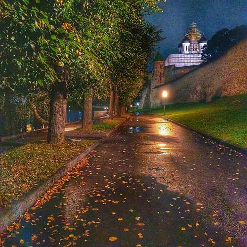 Photo #13337516