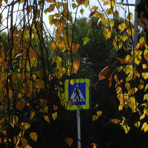 Photo #13337561