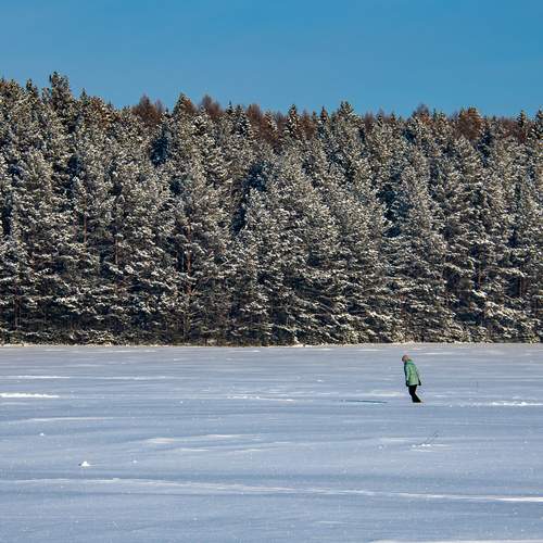 Photo #13337572