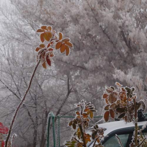 Photo #13337599