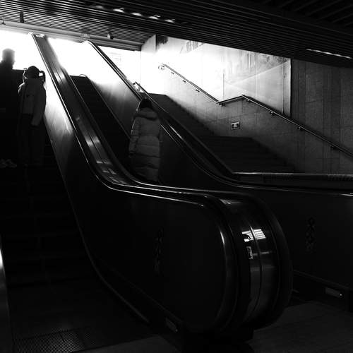 Photo #13337652
