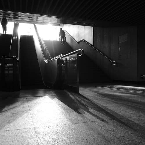 Photo #13337713