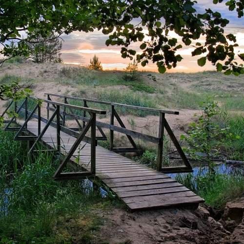 Timber bridge in amber hush.