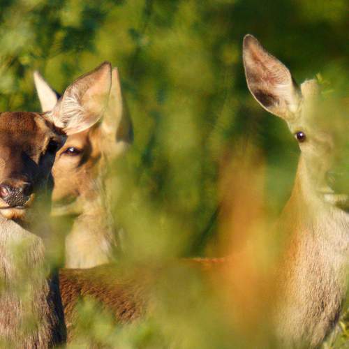 Photo #13337809