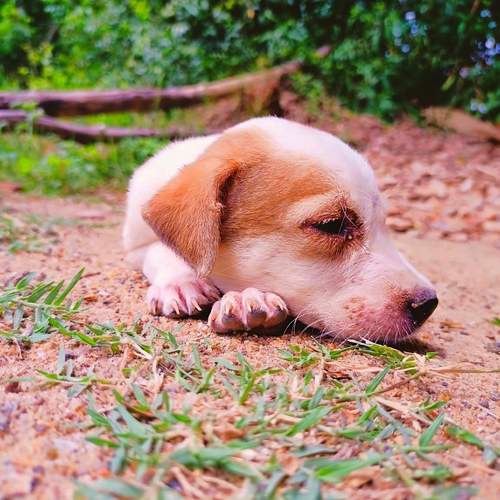 Photo #13337820