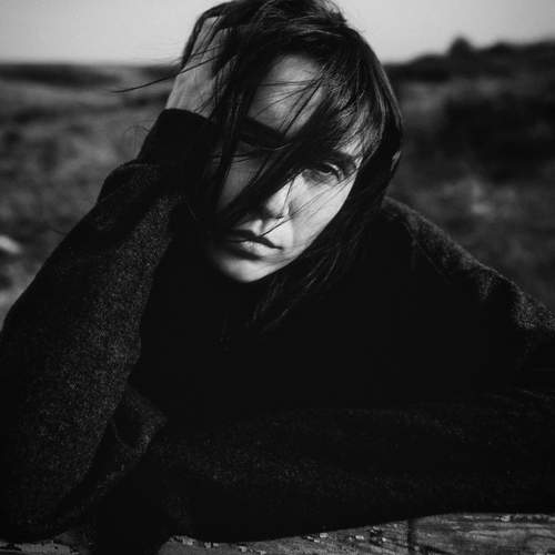 Photo #13337867