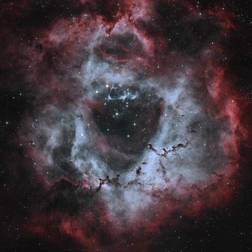 Туманность Розетка  NGC 2237