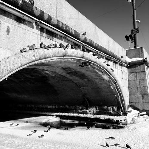Photo #13337990