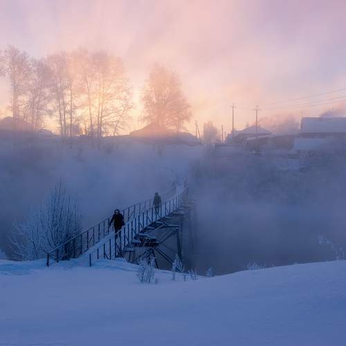 Photo #13338030