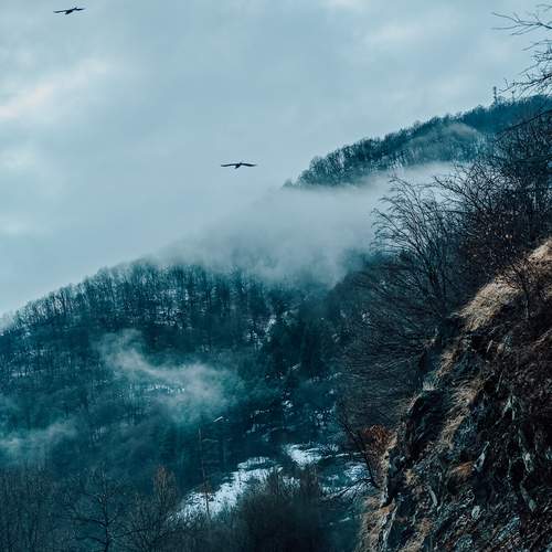 Photo #13338078