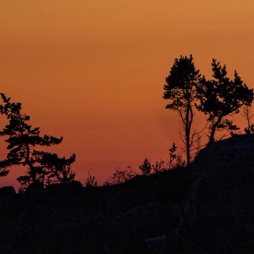 Photo #13338276