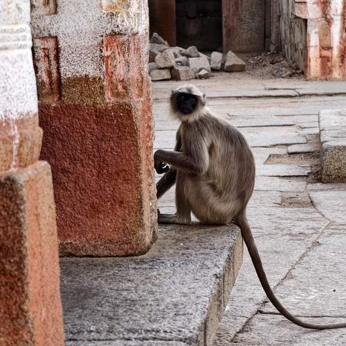 Photo #13338397