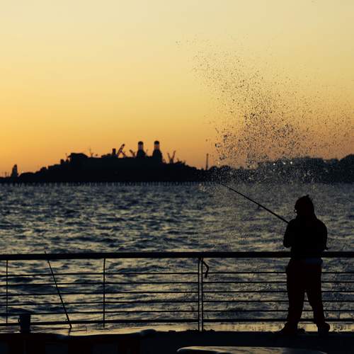 Photo #13338452