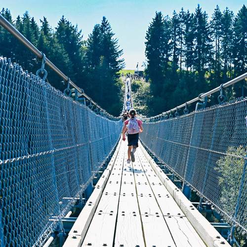 Фотография #13338488