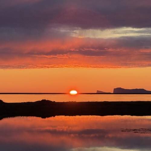 Photo #13338497