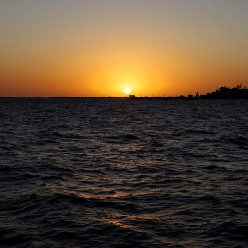 Photo #13338642