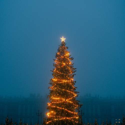 Photo #13338681