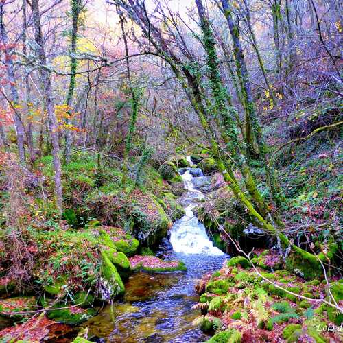 Photo #13338714
