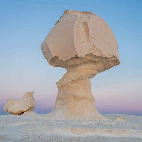 Под грибком