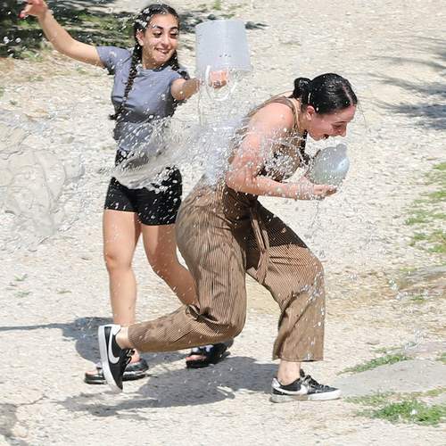 Photo #13338788