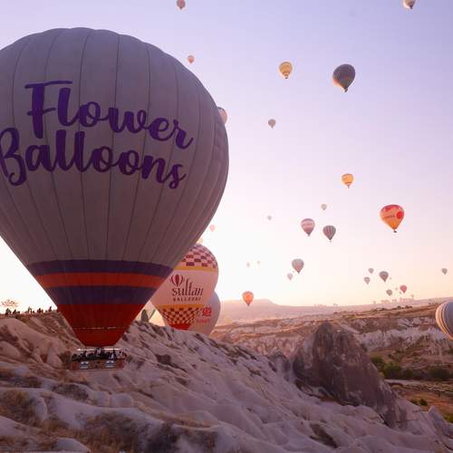 Photo #13338790