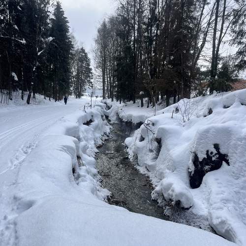 Photo #13338800
