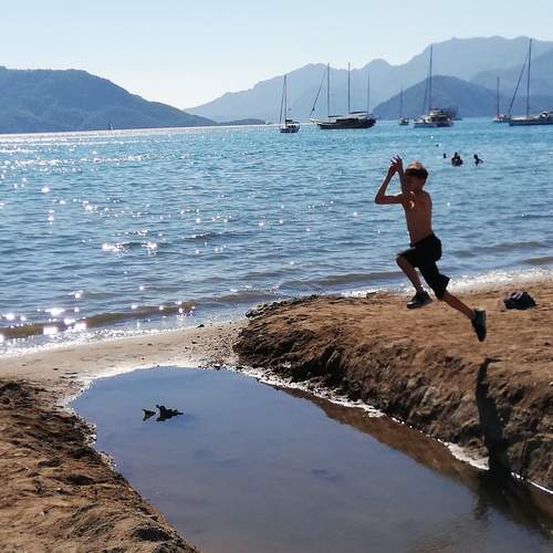Photo #13338803