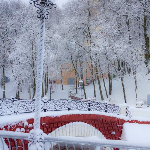 Photo #13338891