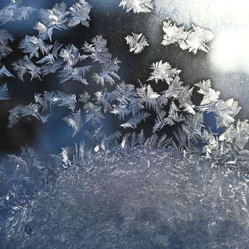 Photo #13338892