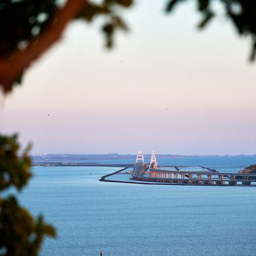 Photo #13338902