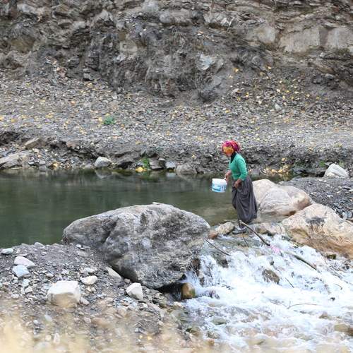 Photo #13338913