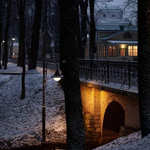 Photo #13338916