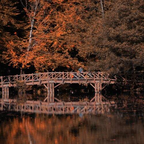 Photo #13338920