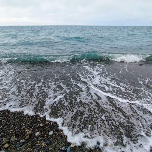 Photo #13338947