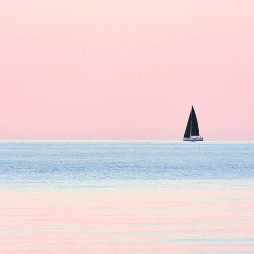 Photo #13338964