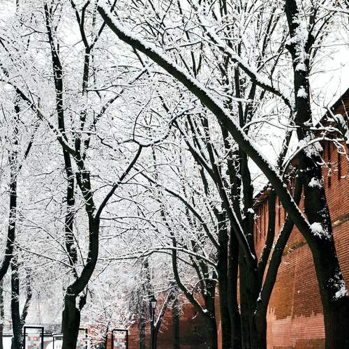 Photo #13338989