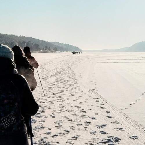 Photo #13338991