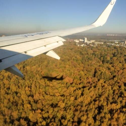 Photo #13339135