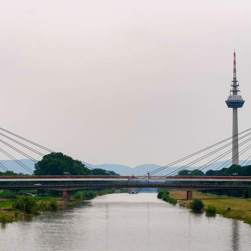 Фотография #13339142