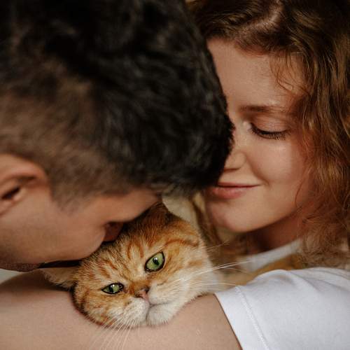 Photo #13339270