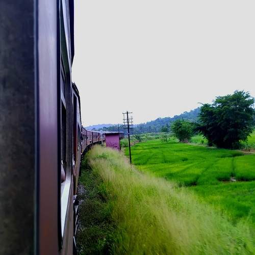 Photo #13339297