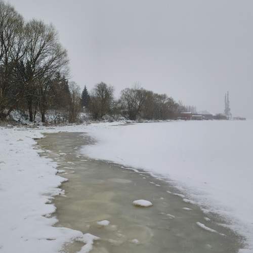 Photo #13339307