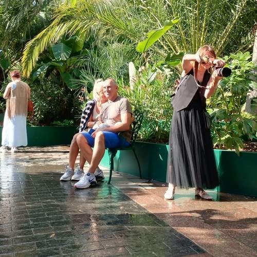 Photo #13339312