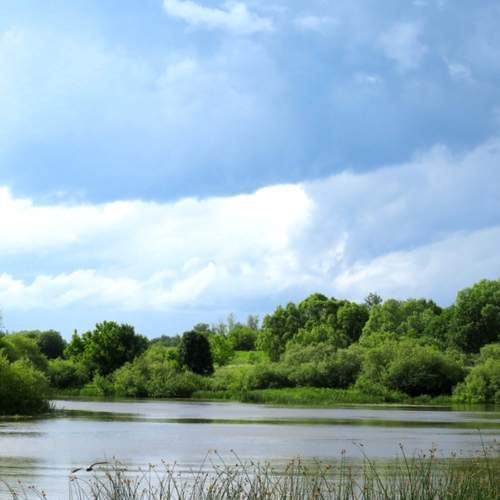 Photo #13339360